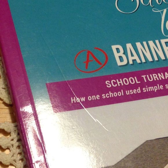 3 for $10 book sale! School Principal Resource, Creating a banner school - Picture 4 of 6